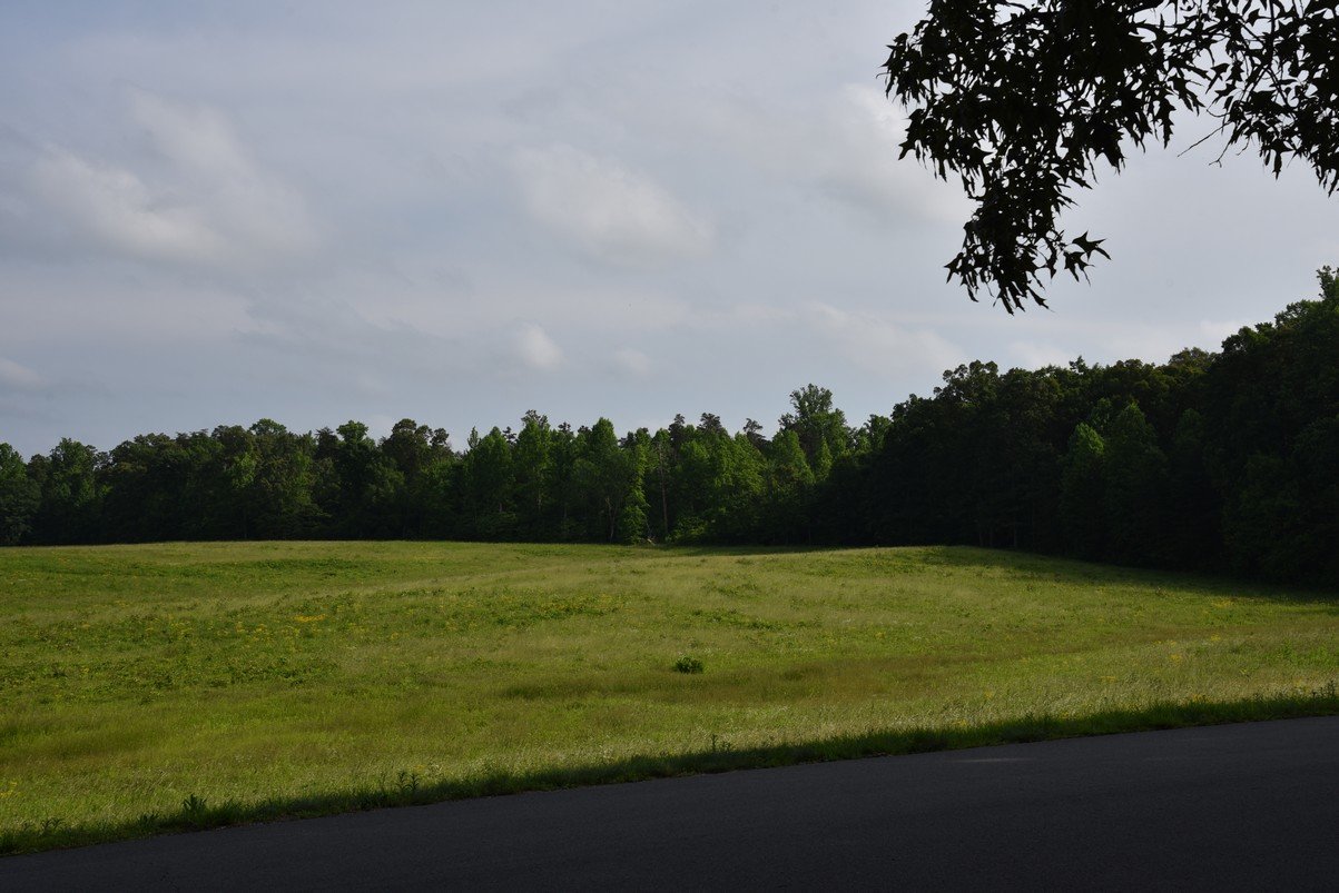 dsc_1494_fs.jpg