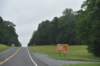dsc_1540_fs_small.jpg