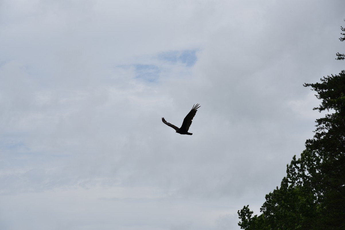 dsc_1775_fs.jpg