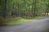 dsc_1821_fs_small.jpg