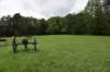dsc_1838_fs_small.jpg