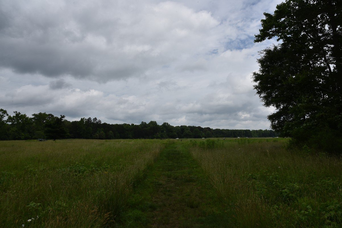 dsc_1846_fs.jpg