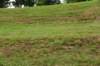 dsc_1873_fs_small.jpg