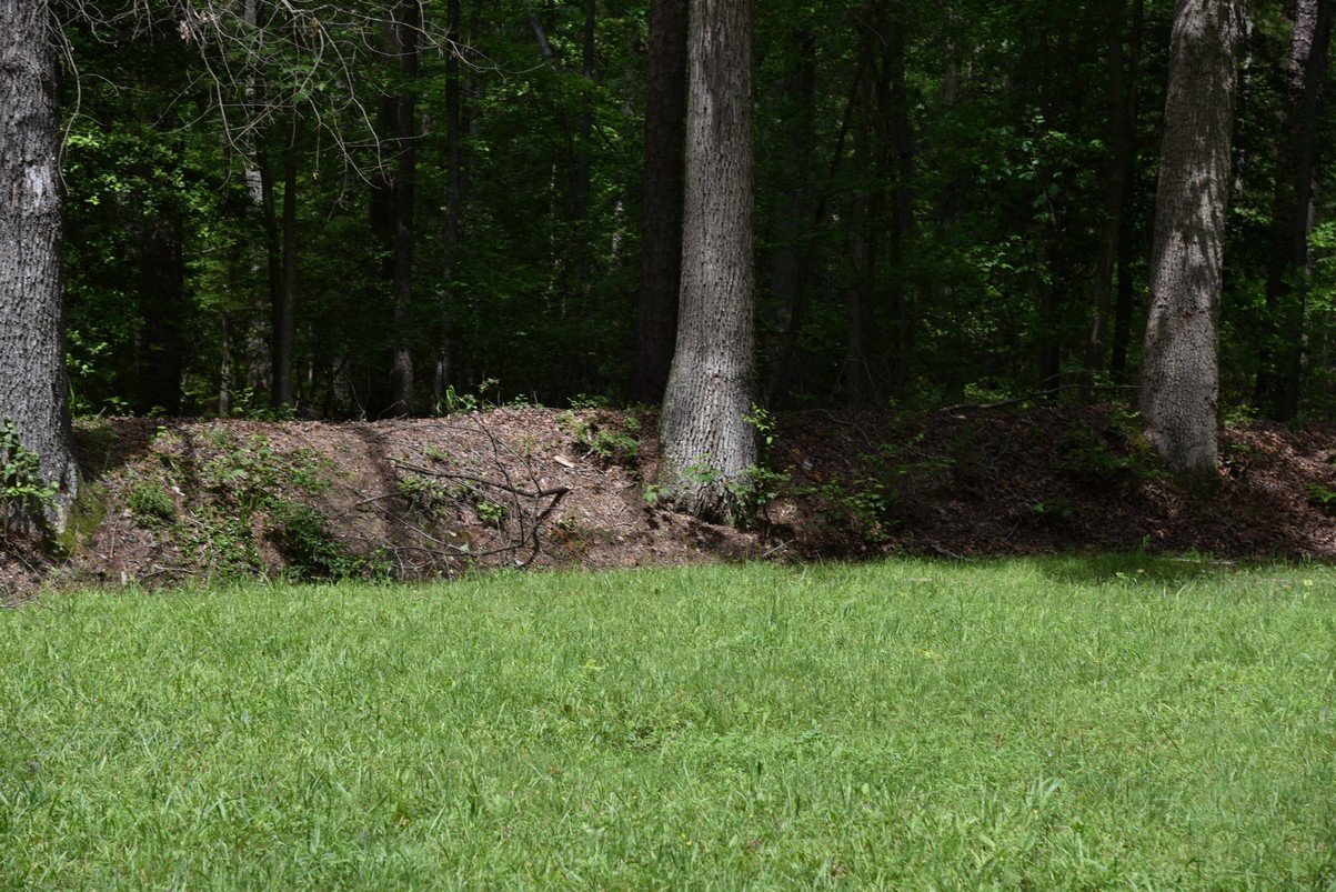 dsc_1967_fs.jpg