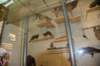 dsc_2040_fs_small.jpg