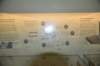 dsc_2080_fs_small.jpg