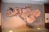 dsc_2112_fs_small.jpg
