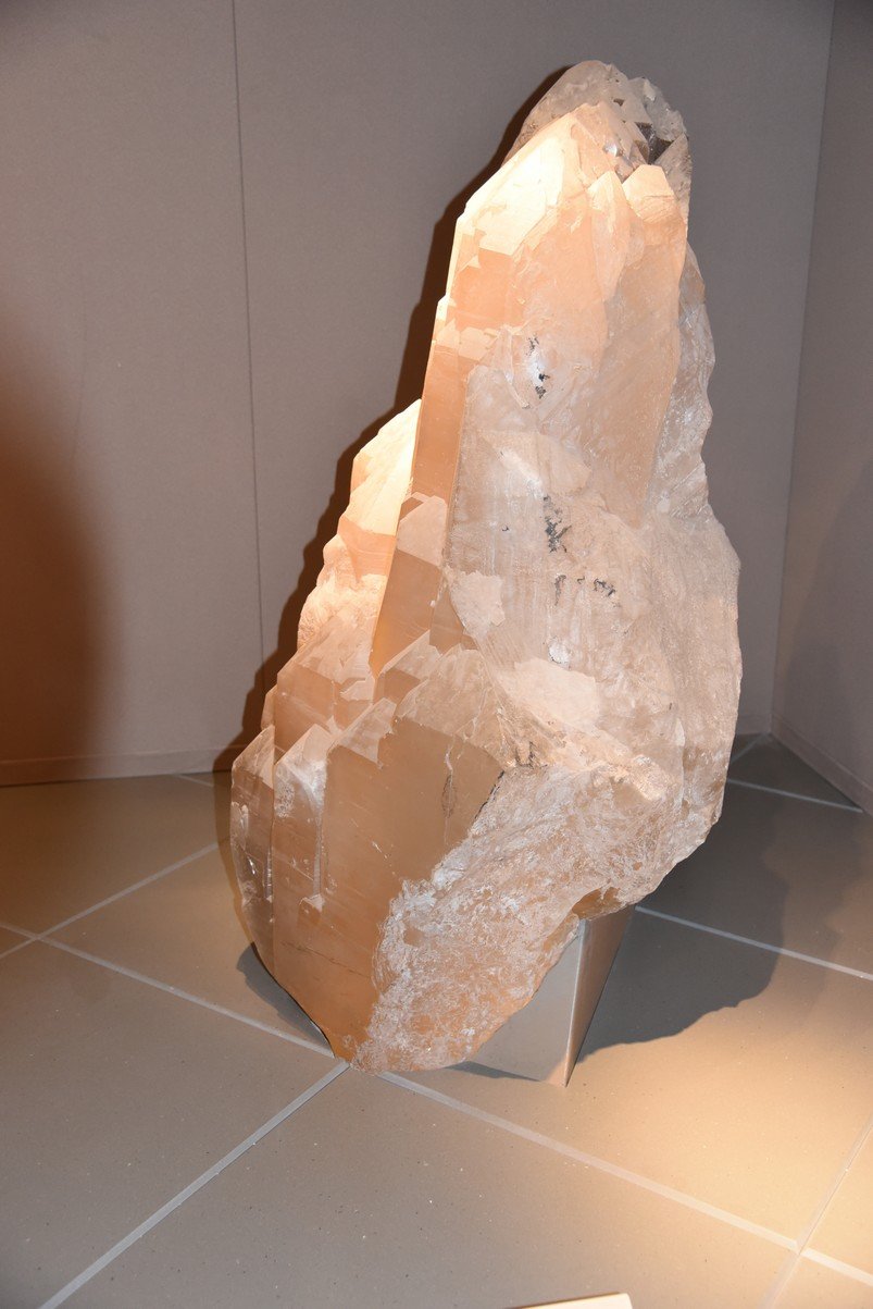 dsc_2114_fs.jpg