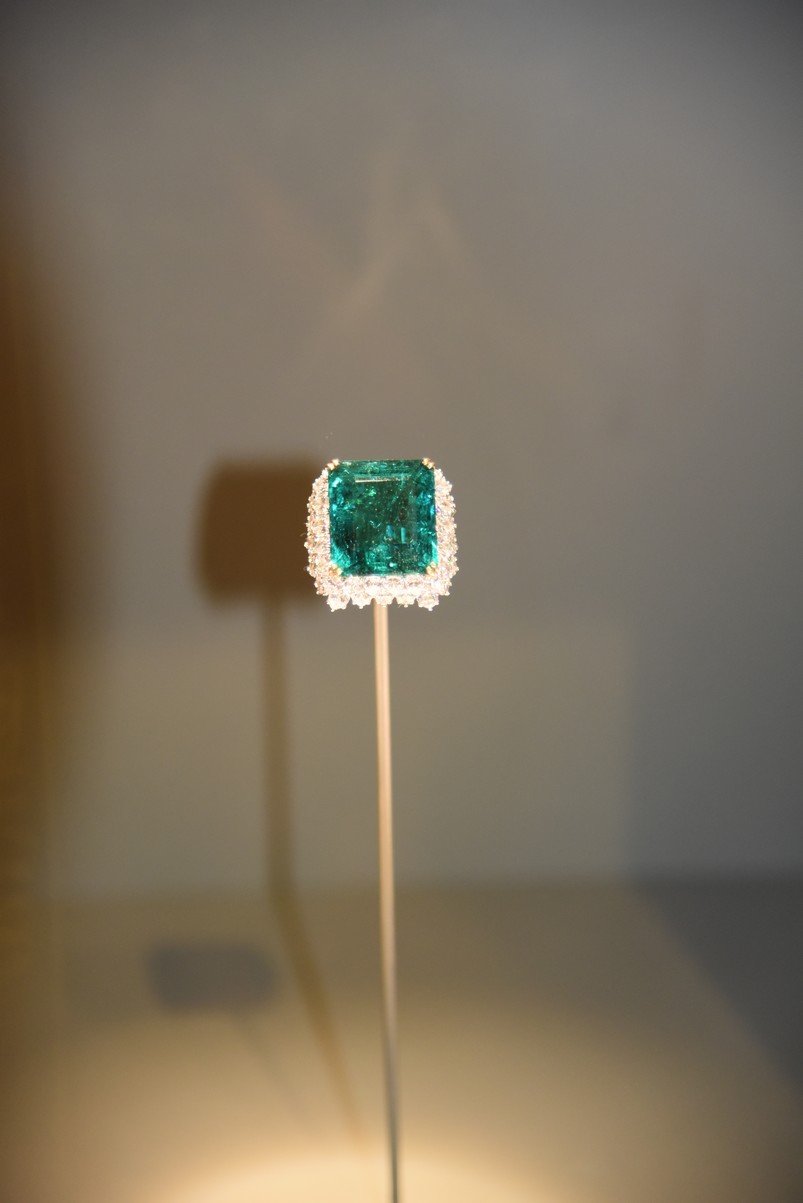 dsc_2128_fs.jpg