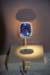 dsc_2141_fs_small.jpg