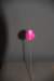 dsc_2144_fs_small.jpg