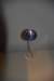 dsc_2146_fs_small.jpg