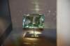 dsc_2160_fs_small.jpg