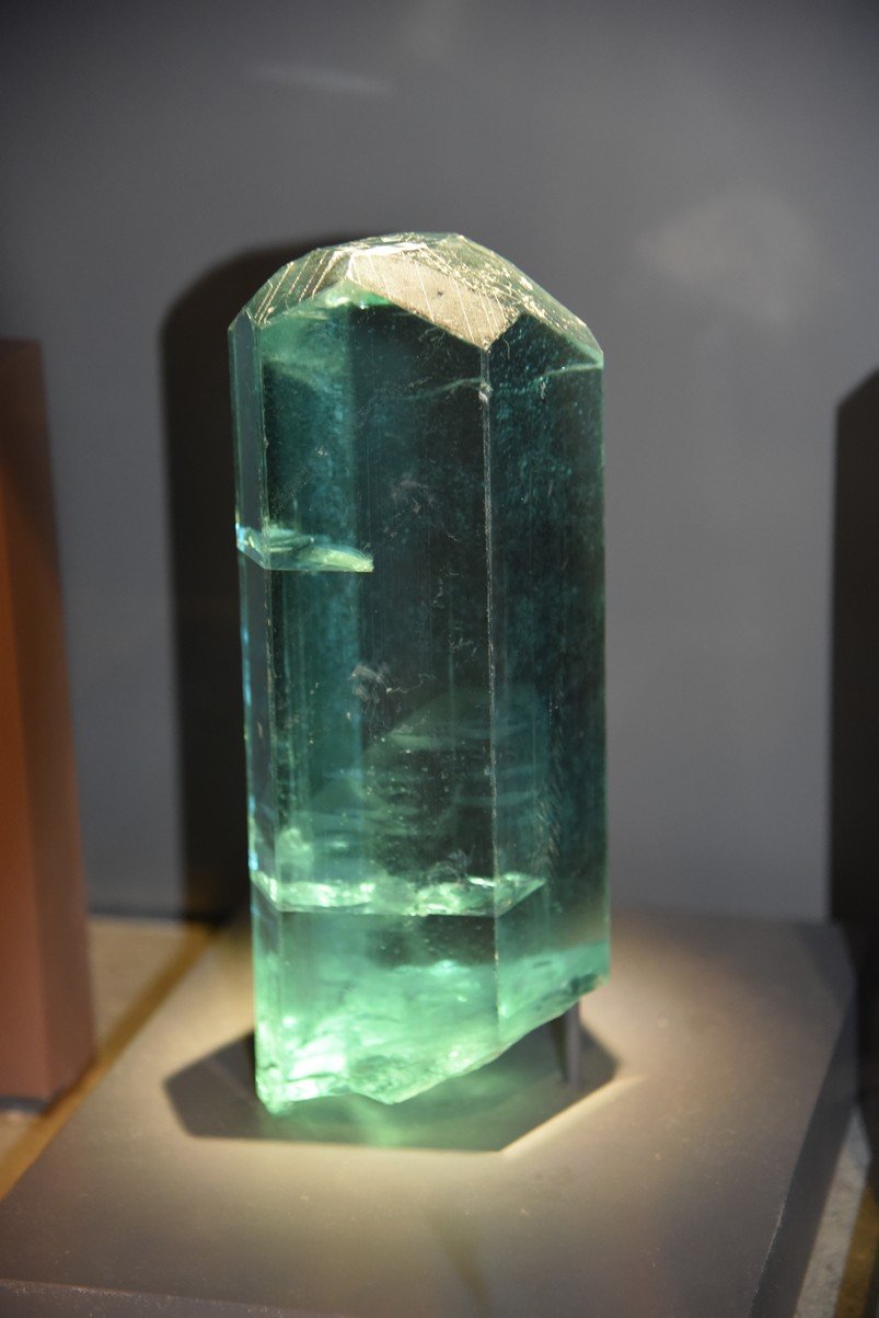 dsc_2162_fs.jpg