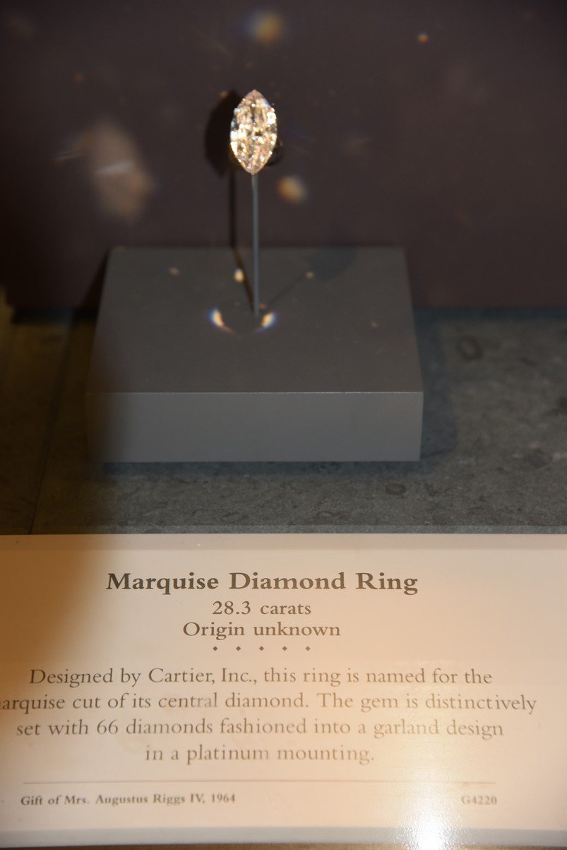dsc_2166_fs.jpg