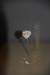 dsc_2169_fs_small.jpg