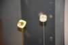 dsc_2176_fs_small.jpg