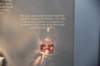 dsc_2178_fs_small.jpg