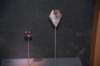 dsc_2182_fs_small.jpg