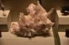 dsc_2185_fs_small.jpg
