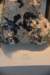 dsc_2187_fs_small.jpg