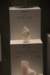 dsc_2188_fs_small.jpg