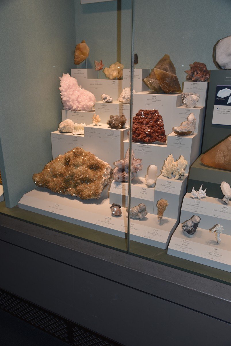 dsc_2193_fs.jpg