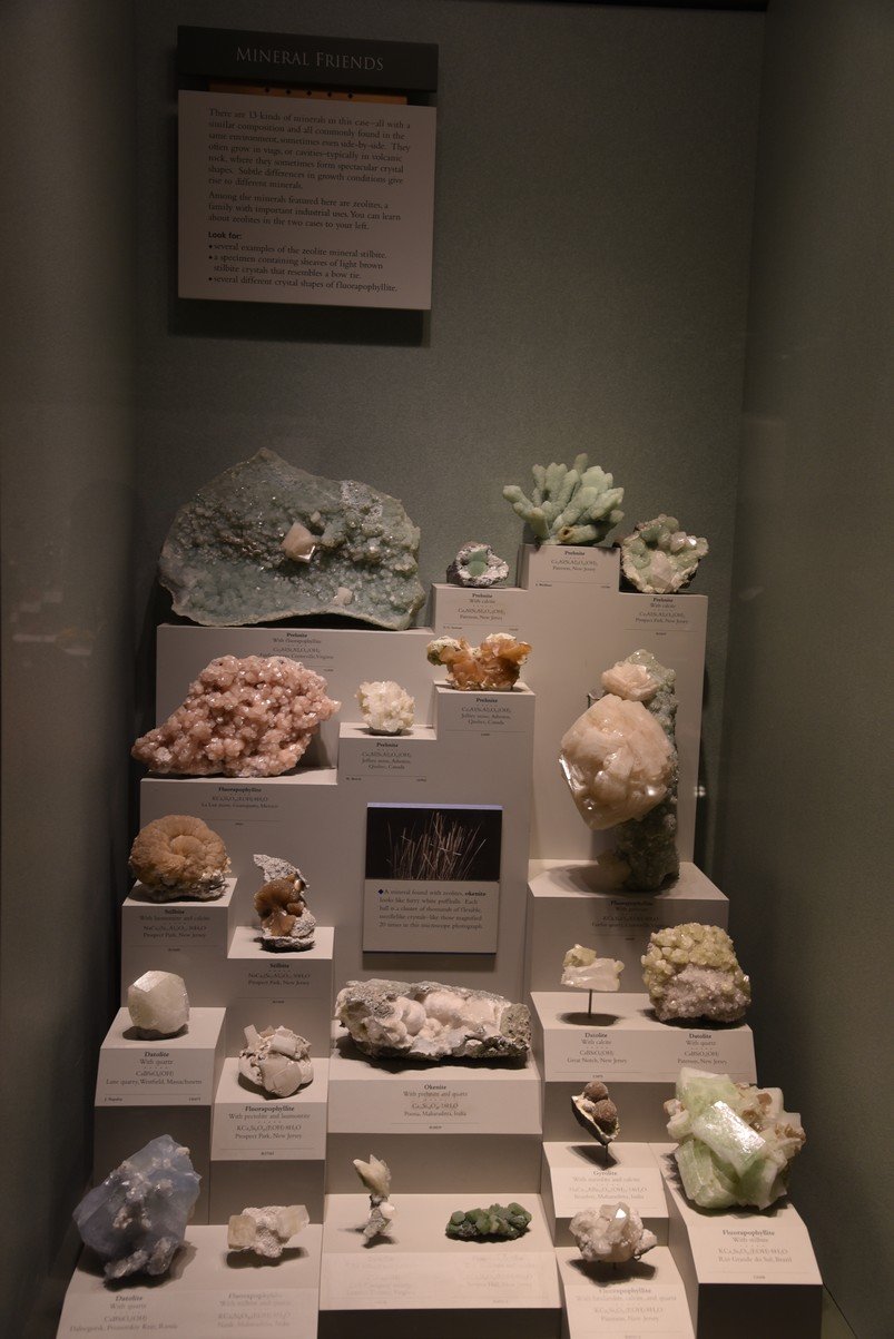 dsc_2201_fs.jpg