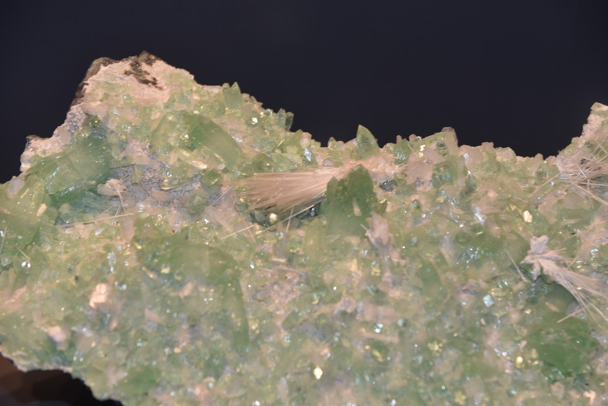 dsc_2205_fs.jpg