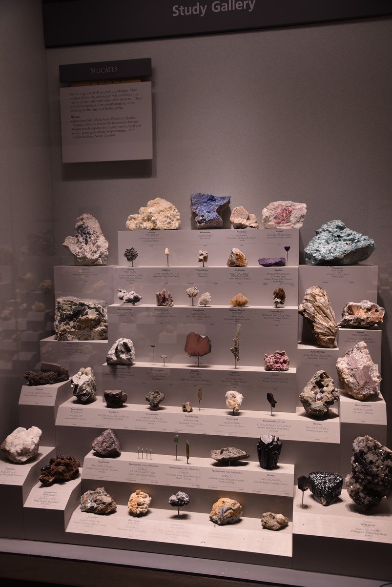 dsc_2206_fs.jpg