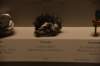 dsc_2209_fs_small.jpg
