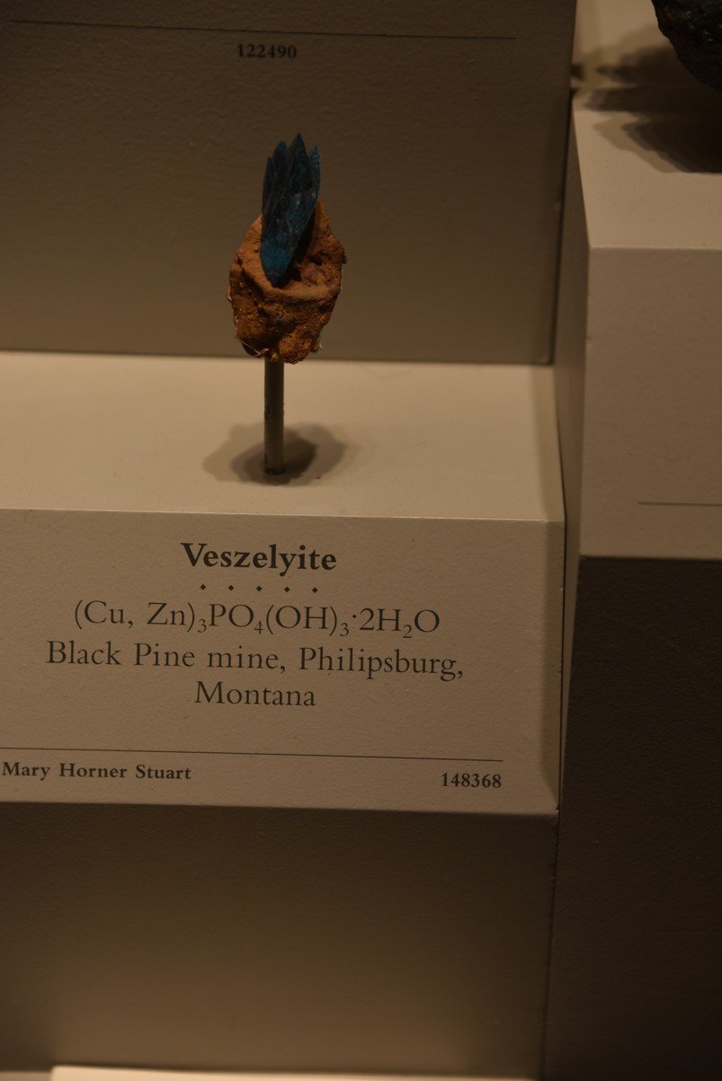 dsc_2210_fs.jpg