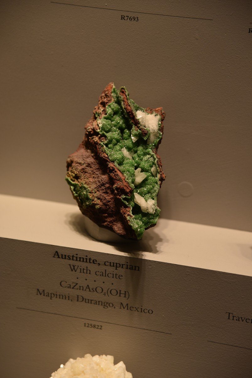 dsc_2211_fs.jpg