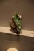 dsc_2211_fs_small.jpg