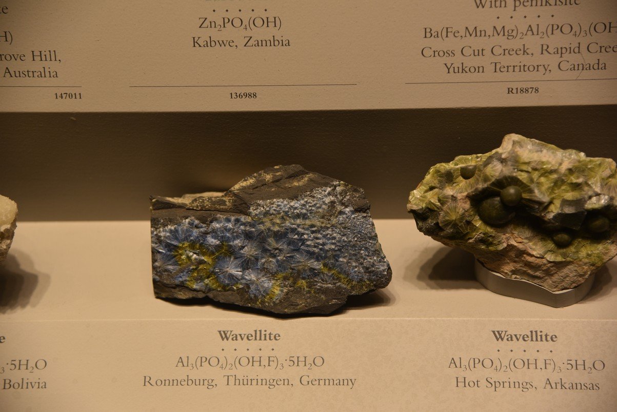 dsc_2212_fs.jpg