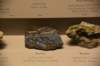 dsc_2212_fs_small.jpg