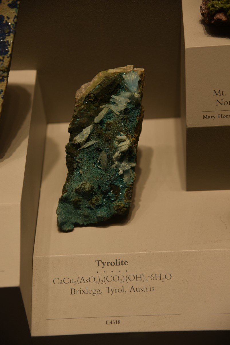 dsc_2213_fs.jpg