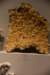 dsc_2214_fs_small.jpg