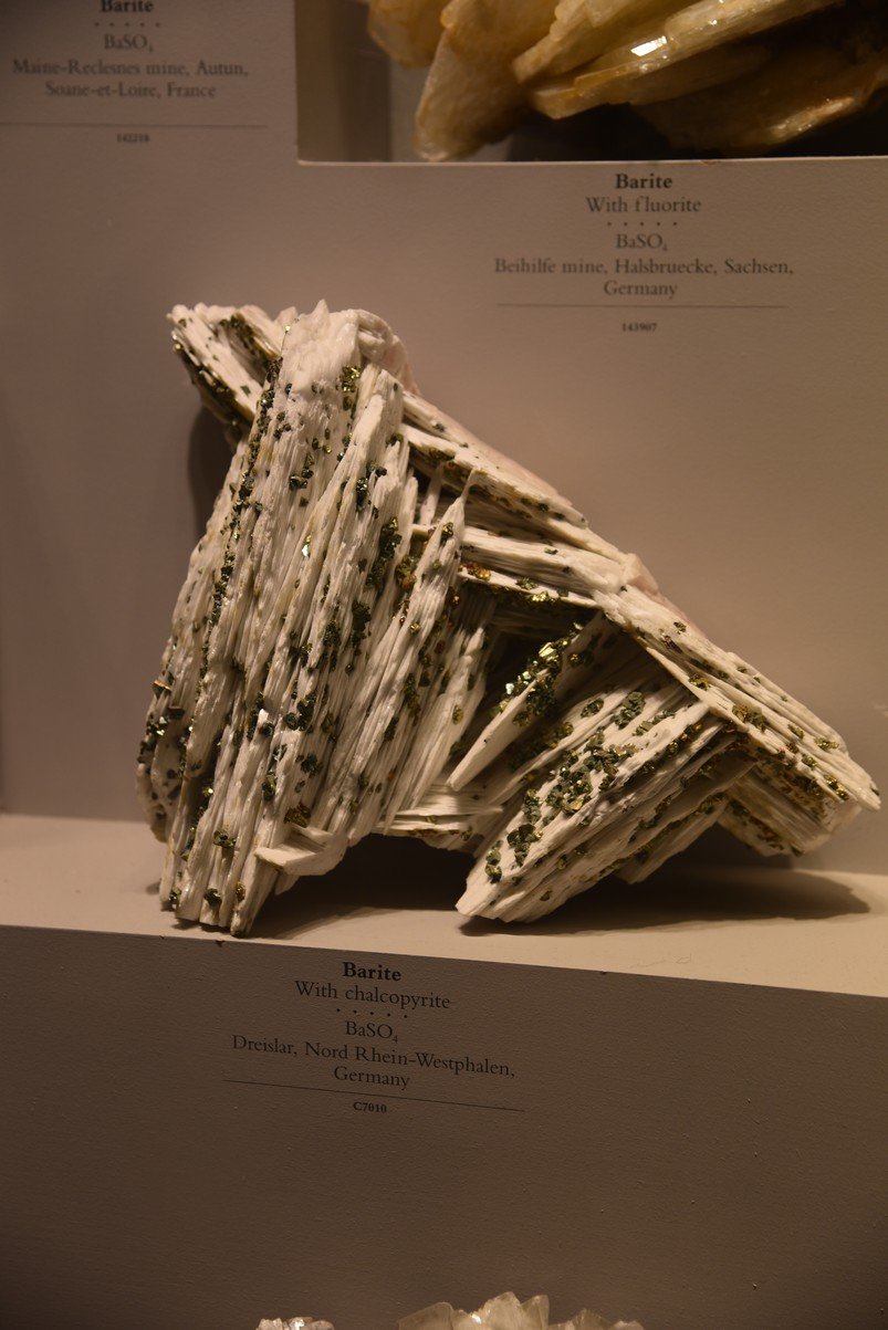 dsc_2215_fs.jpg