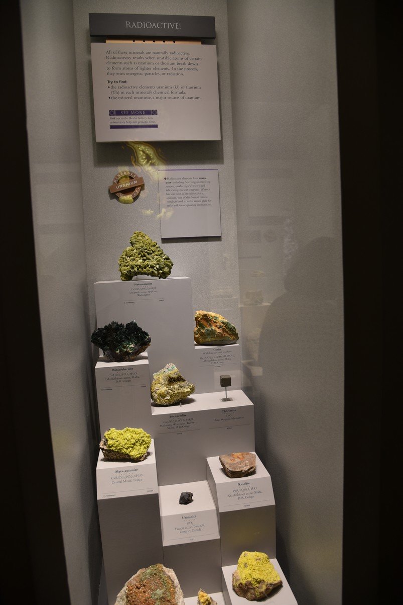 dsc_2216_fs.jpg