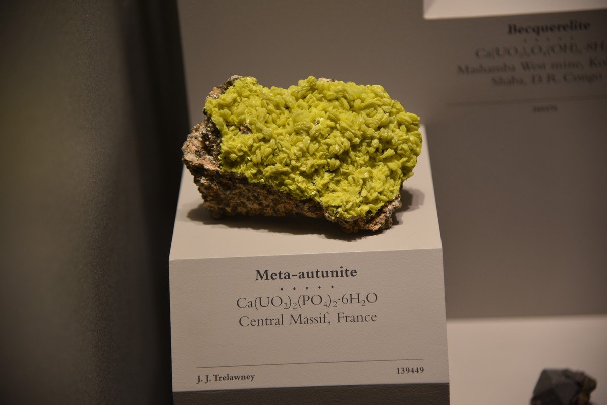 dsc_2217_fs.jpg