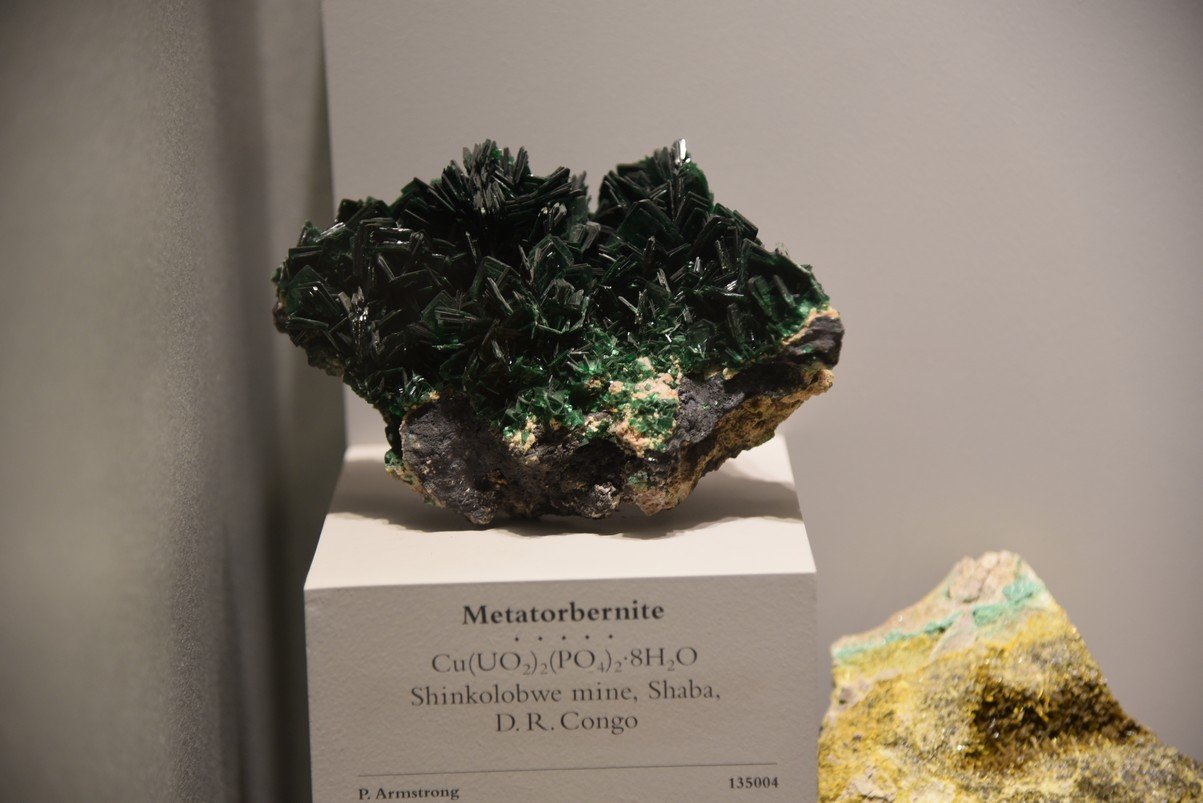 dsc_2218_fs.jpg