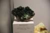 dsc_2218_fs_small.jpg