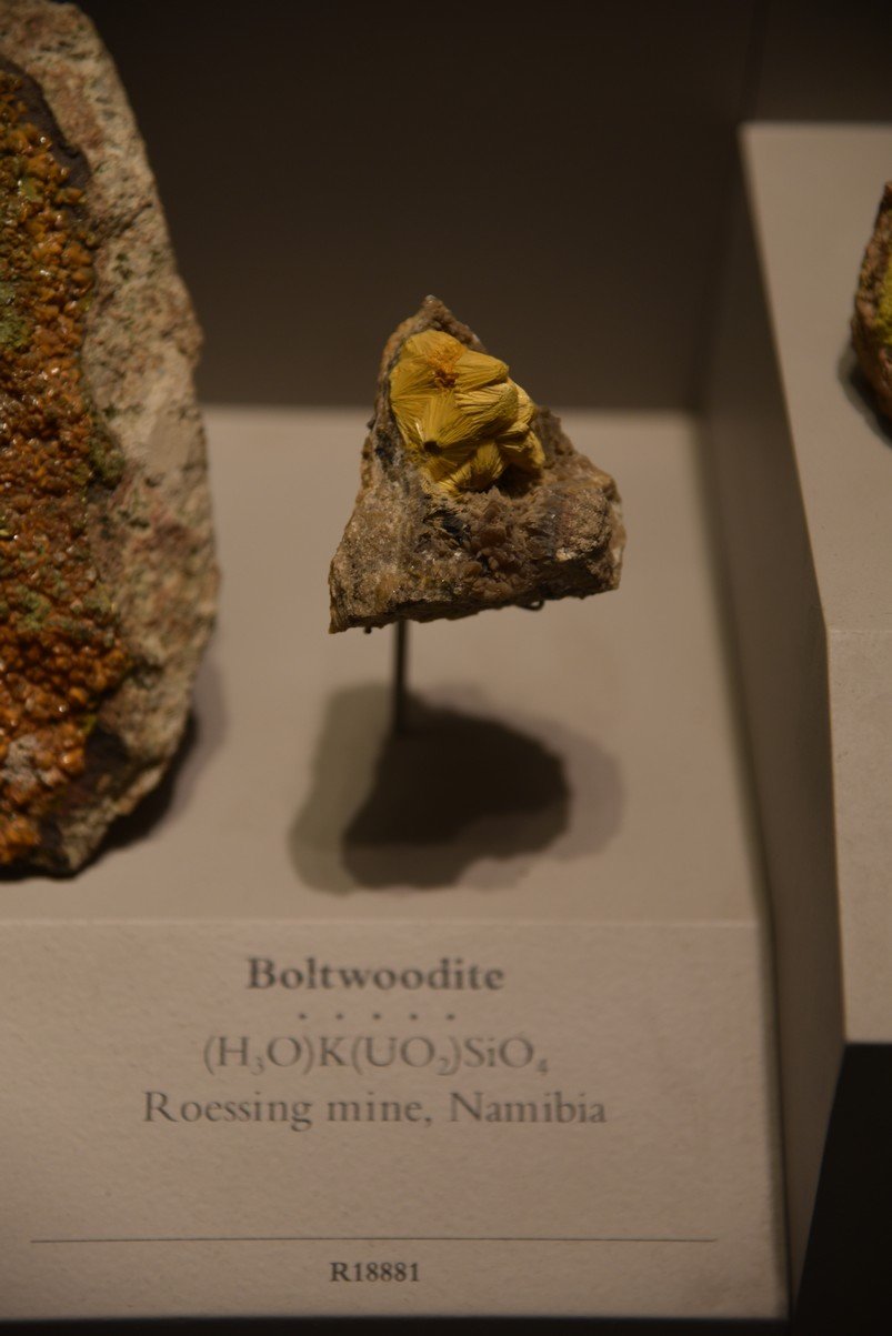 dsc_2219_fs.jpg