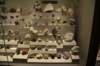 dsc_2220_fs_small.jpg