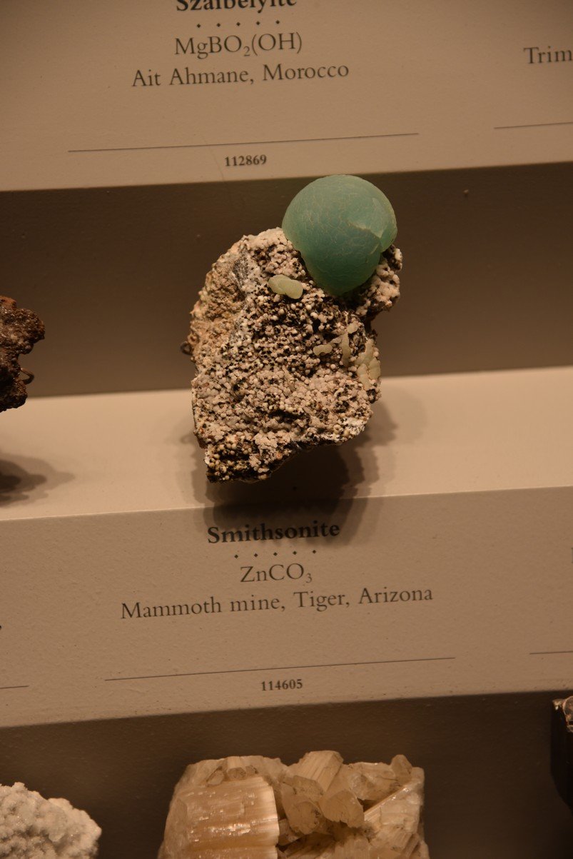dsc_2222_fs.jpg