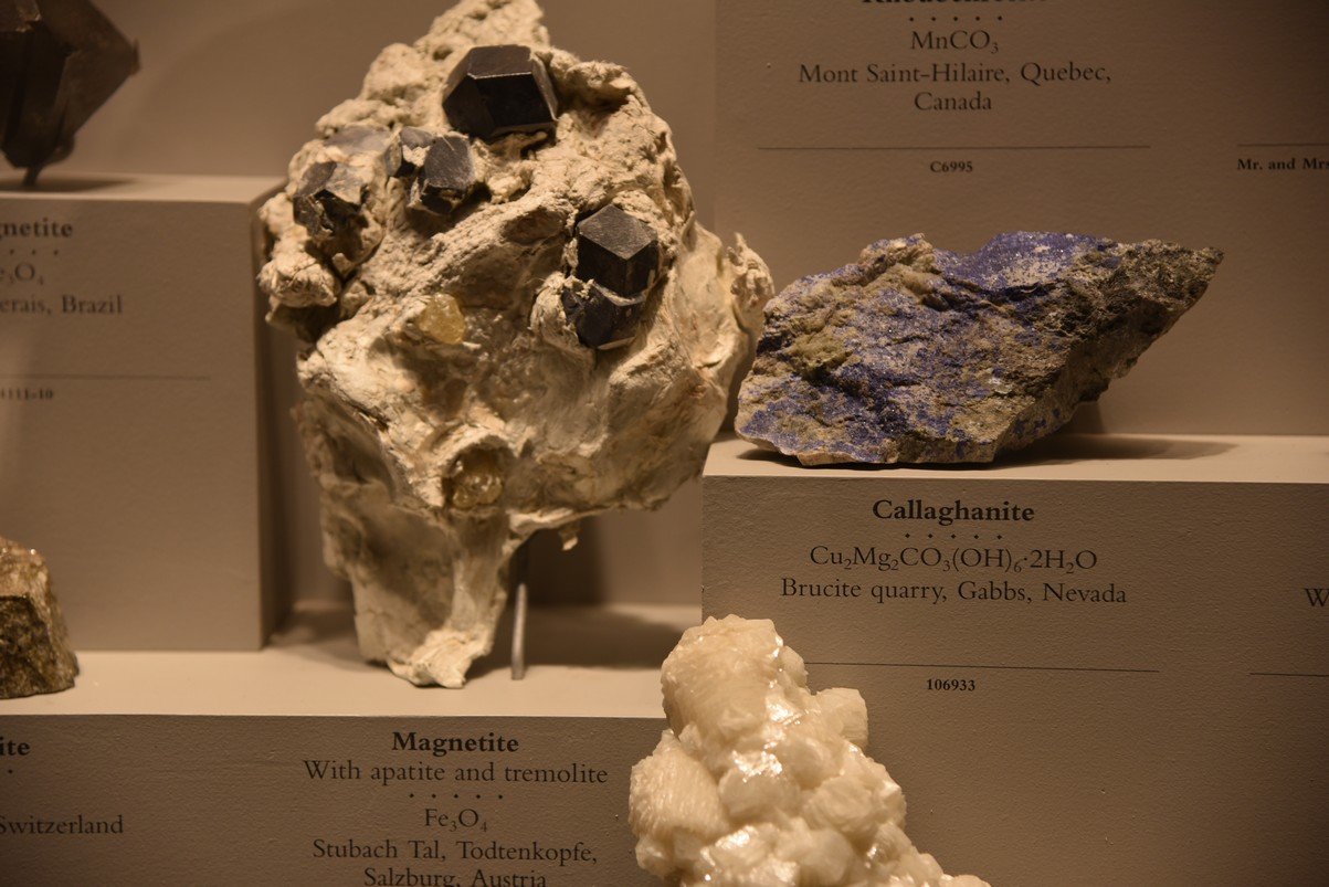 dsc_2223_fs.jpg
