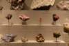 dsc_2224_fs_small.jpg
