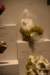 dsc_2225_fs_small.jpg