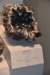 dsc_2228_fs_small.jpg